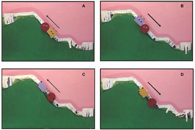 Cortical Activation to Social and Mechanical Stimuli in the Infant Brain